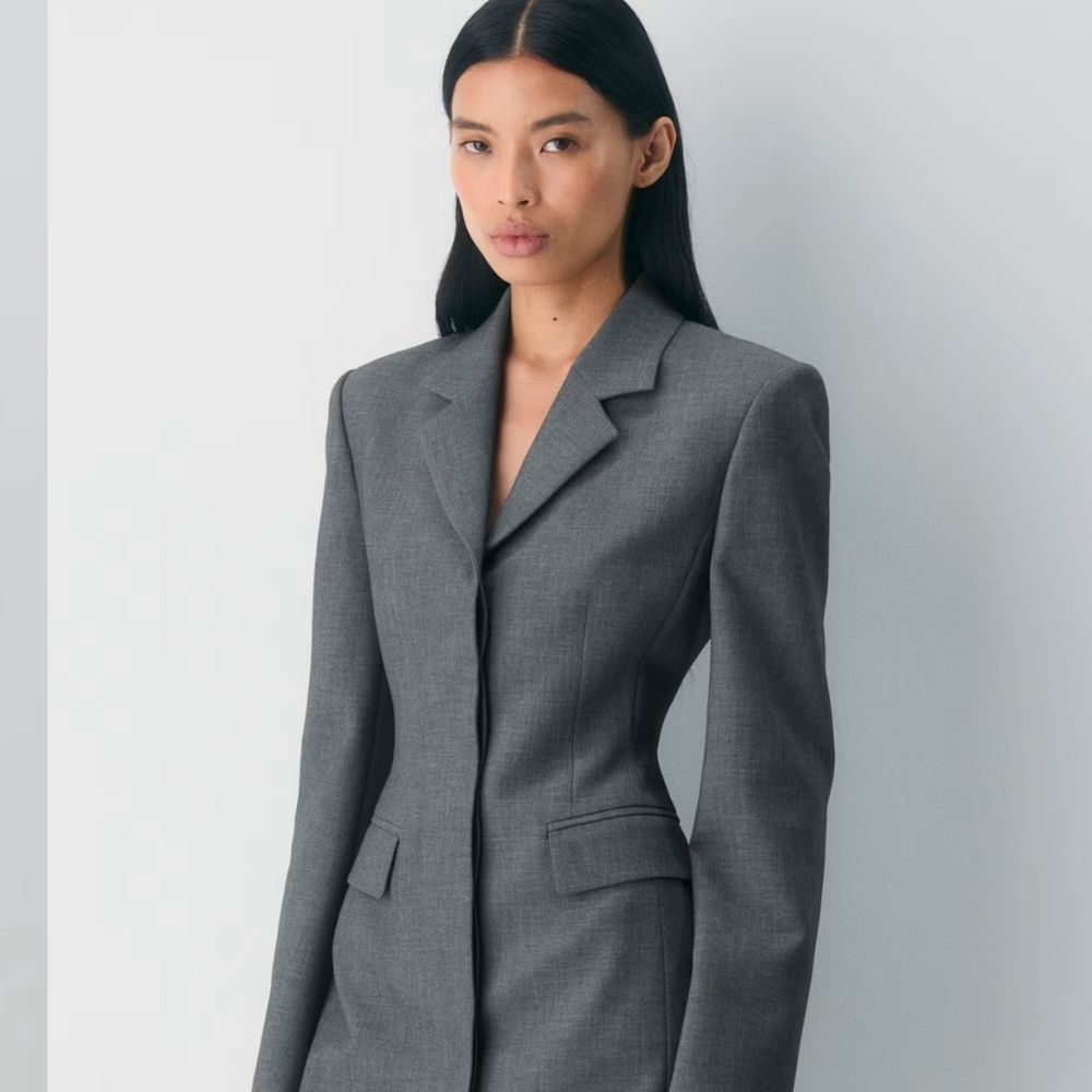 BNWT Aritzia Babaton Autograph Blazer Dress Pinstripe
